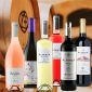 Zestaw win Odkryj wina z La Rioja